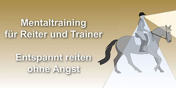 Online Training Wege aus der Angst beim Reiten