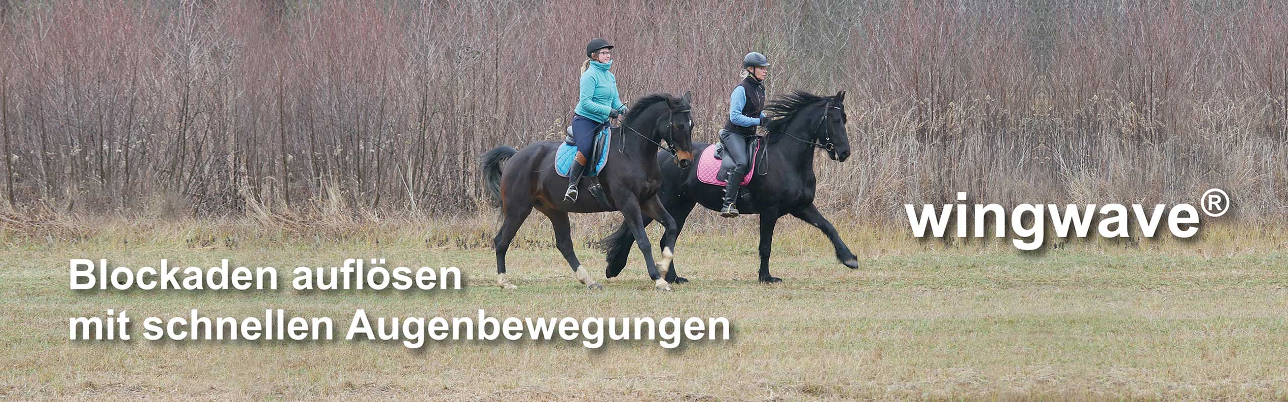Erfolgreiches Reitsport-Coaching mit wingwave® Erfolgreiches Reitsport-Coaching mit wingwave®