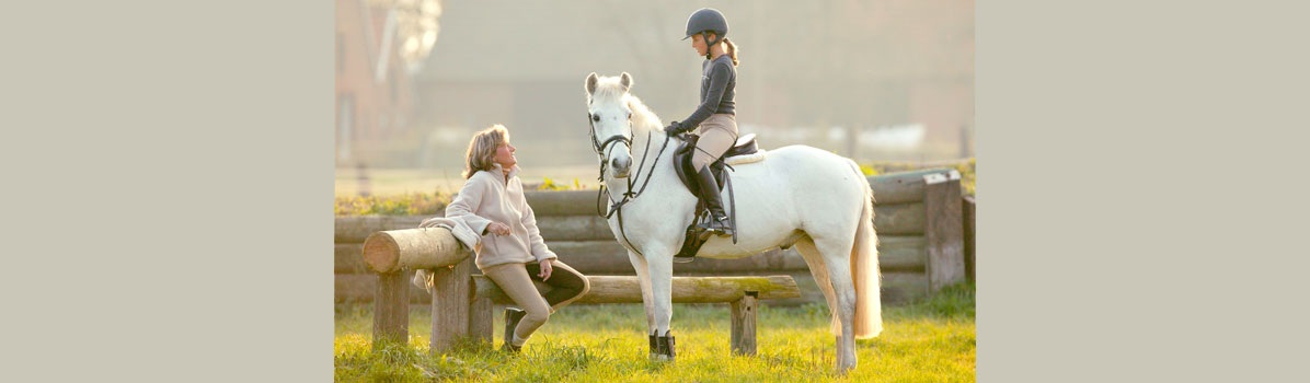 Coaching für Reitlehrer Heimsoeth Academy Coaching für Reitlehrer Heimsoeth Academy