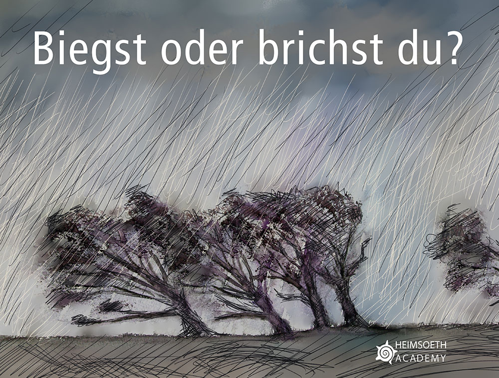 Resilienztraining- Wenn Krise sich in Kraft transformieren lässt Resilienztraining- Wenn Krise sich in Kraft transformieren lässt
