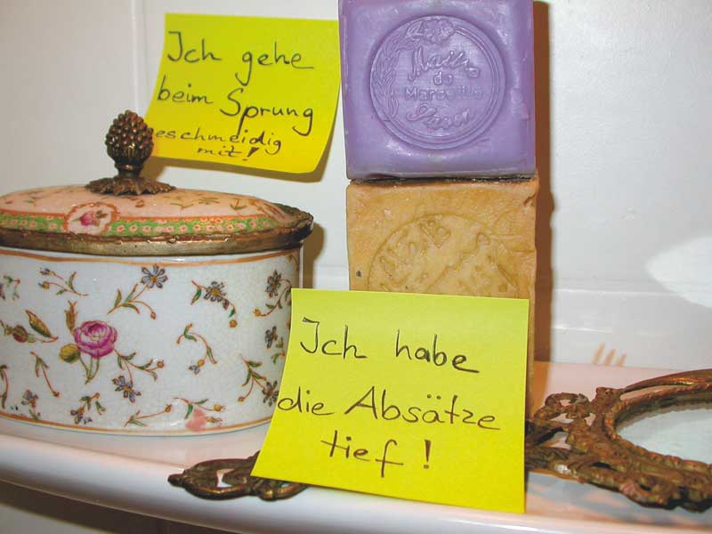 Mental-Training für Reiter & Trainer: Positive Affirmationen 