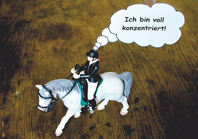 konzentriert reiten