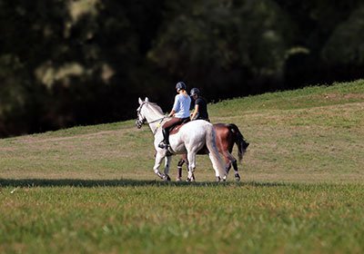 Angstfrei reiten