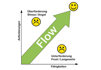 Flow - Ausbildung zum Reit Mental Coach