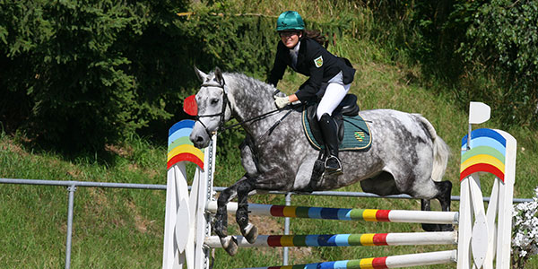 Seminare „Reiten im Kopf®“