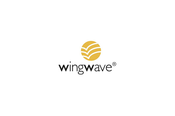 Erfolgreiches Sport-Coaching mit wingwave®