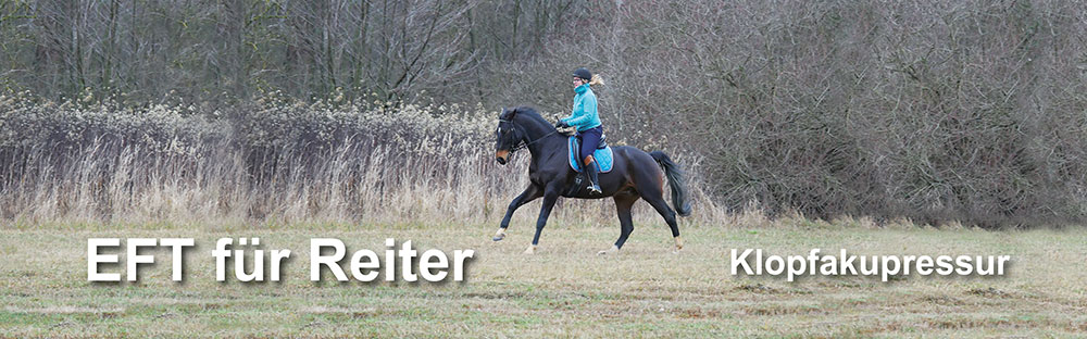 Mental stark im Pferdesport I Mentaltraining für Reiter & Trainer