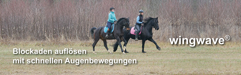 Mental stark im Pferdesport I Mentaltraining für Reiter & Trainer