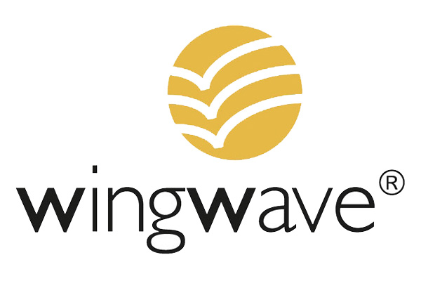 wingwave®-Coaching