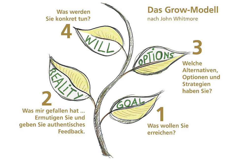 Grow Modell – Mental Hacks