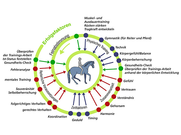 Gratis Webinar „Reiten im Kopf® - Mentaltraining im Pferdesport“