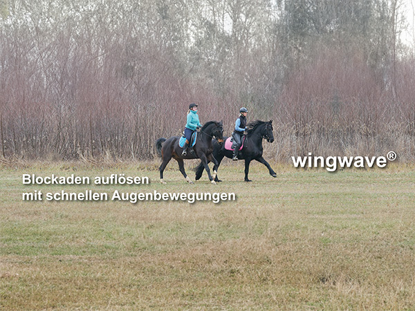 Erfolgreiches Reitsport-Coaching mit wingwave®