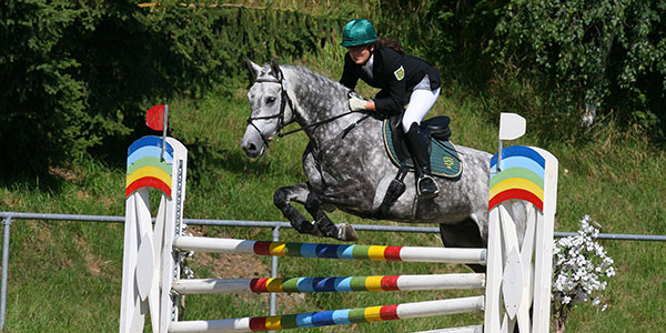 Seminar Reiten im Kopf