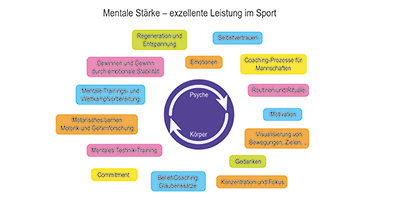 Reitmentaltrainer 