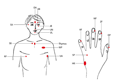 EFT für Reiter bei Angst und Lampenfieber EFT für Reiter bei Angst und Lampenfieber
