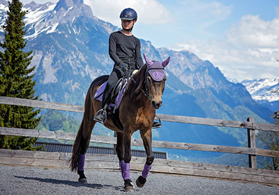 Angstlektionen Angstlektionen